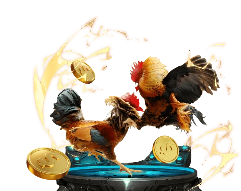 Hình ảnh quản lý tài khoản cá nhân VIP